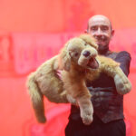 260131 Kage Elferrat Sitzung 2026 Dsc 1674