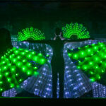 260131 Kage Elferrat Sitzung 2026 Dsc 4359